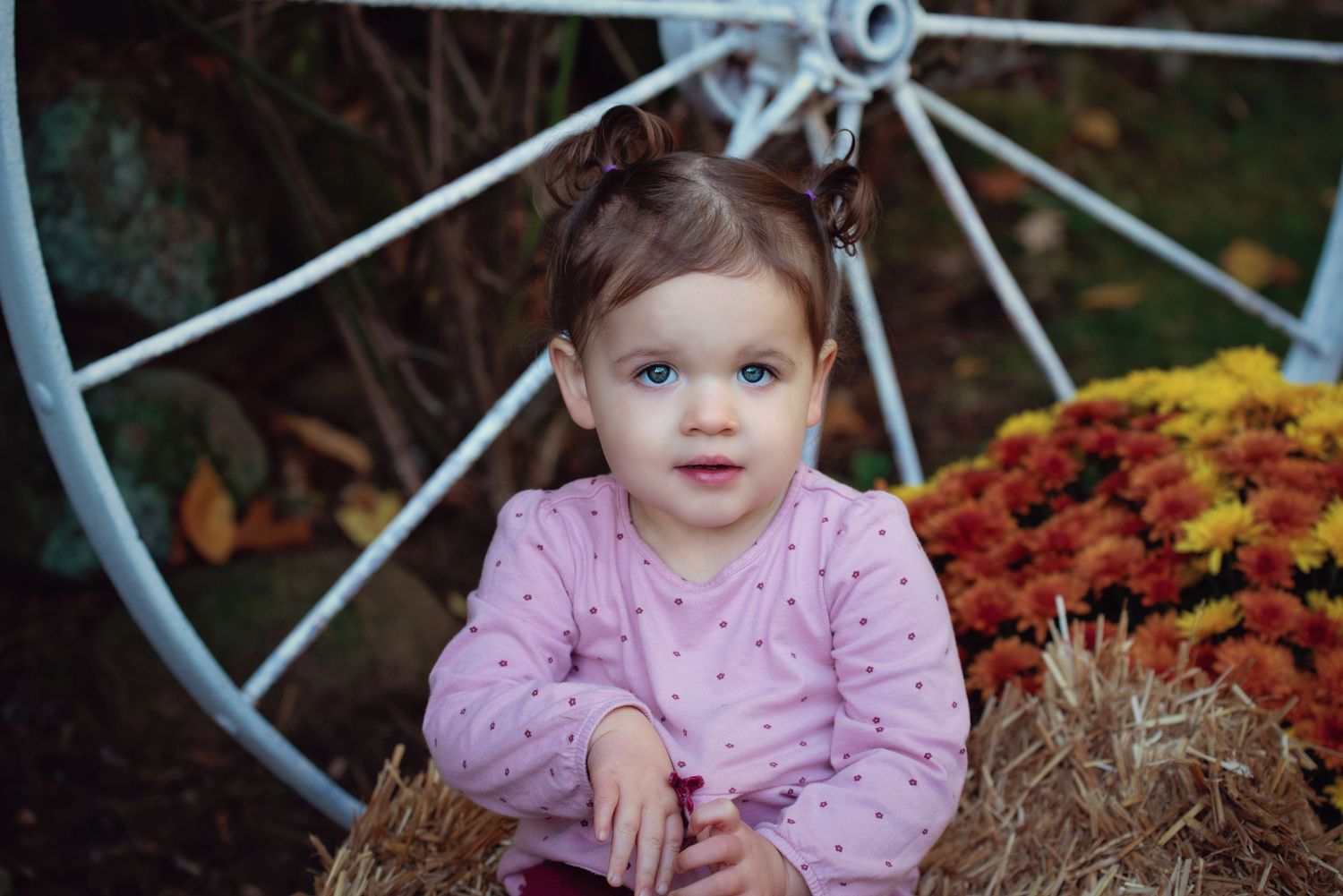 Toddler in pink sweater seated by vintage wagon wheel and autumn mums in a rustic outdoor setting.