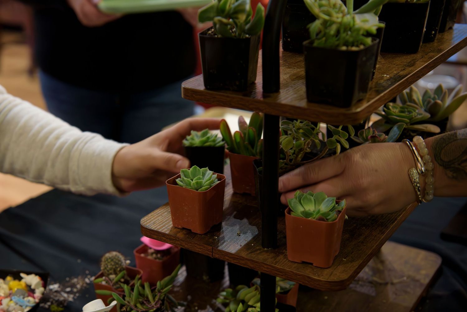 A group of people learning gardening techniques and handling potted plants in an indoor workshop setting.