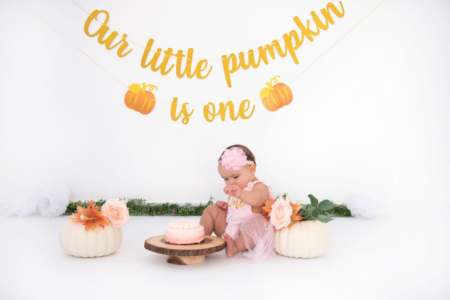 Rhode Island Photographer Cake Smash Studio Session