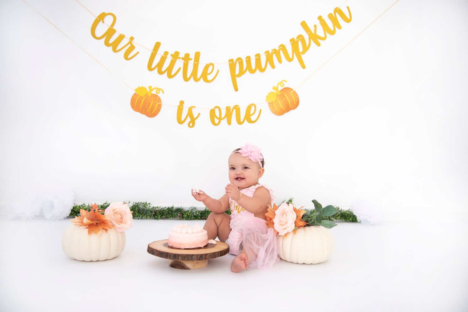 Rhode Island Photographer Cake Smash Studio Session