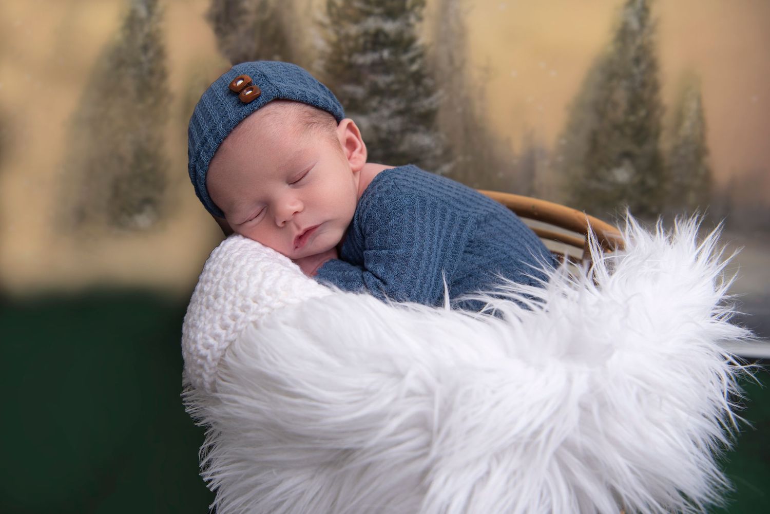 Rhode_Island_Newborn_Photographer_Heather_Golding_Photography_Portrait_Studio_Exeter_Rhode Island