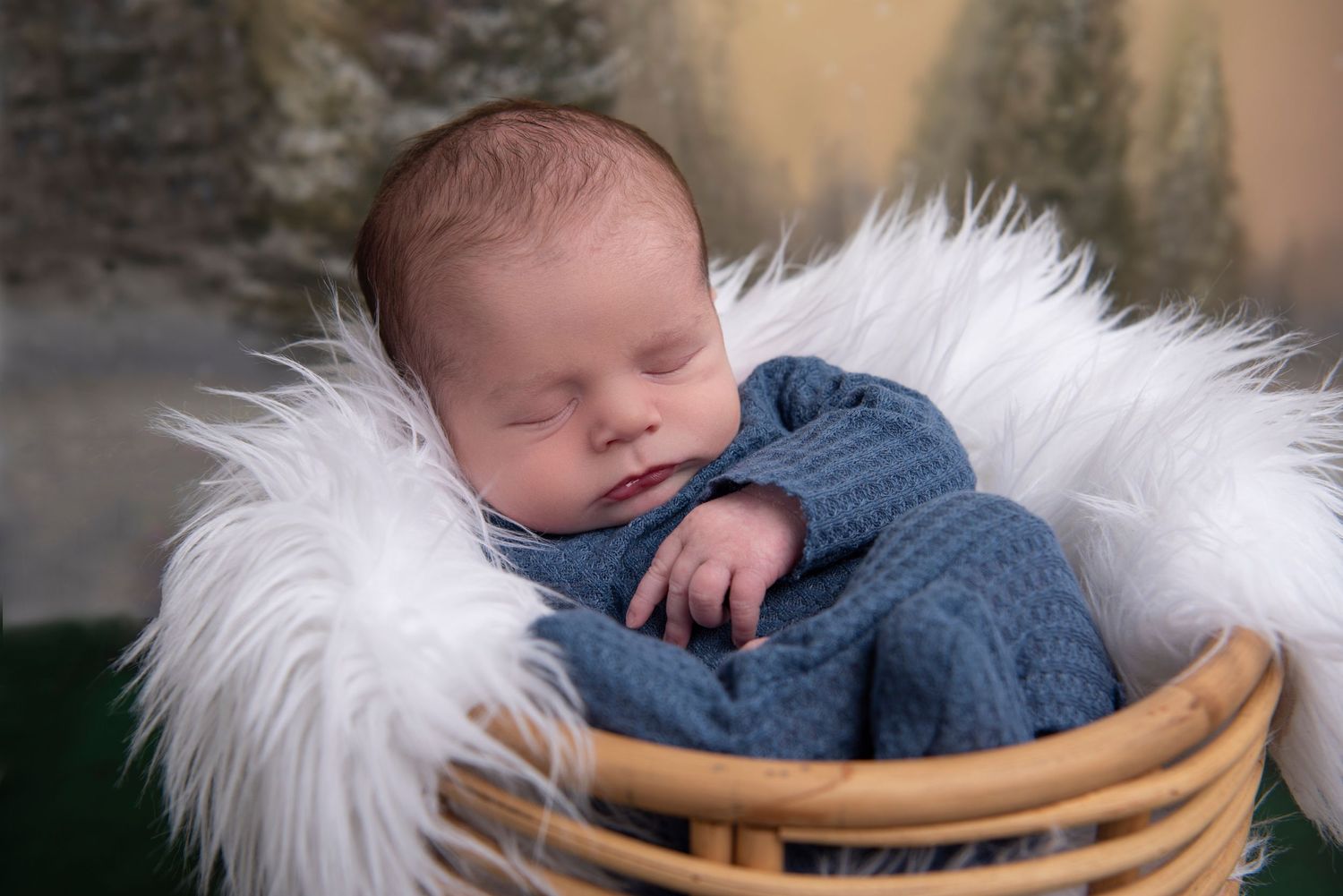Rhode_Island_Newborn_Photographer_Heather_Golding_Photography_Portrait_Studio_Exeter_Rhode Island