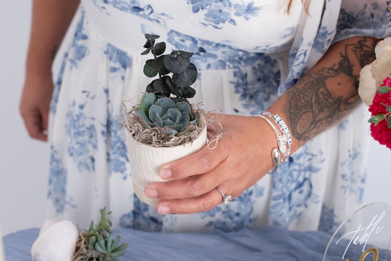 Hands hold various succulents in white ceramic planters against a white and blue marbled background.