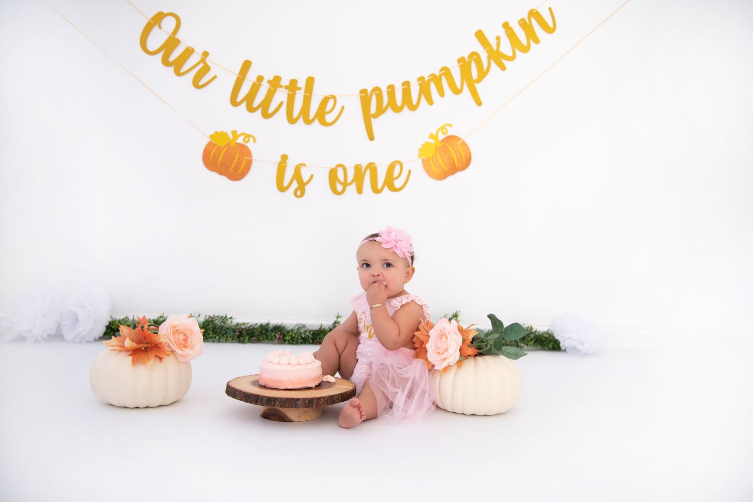 Rhode Island Photographer Cake Smash Studio Session
