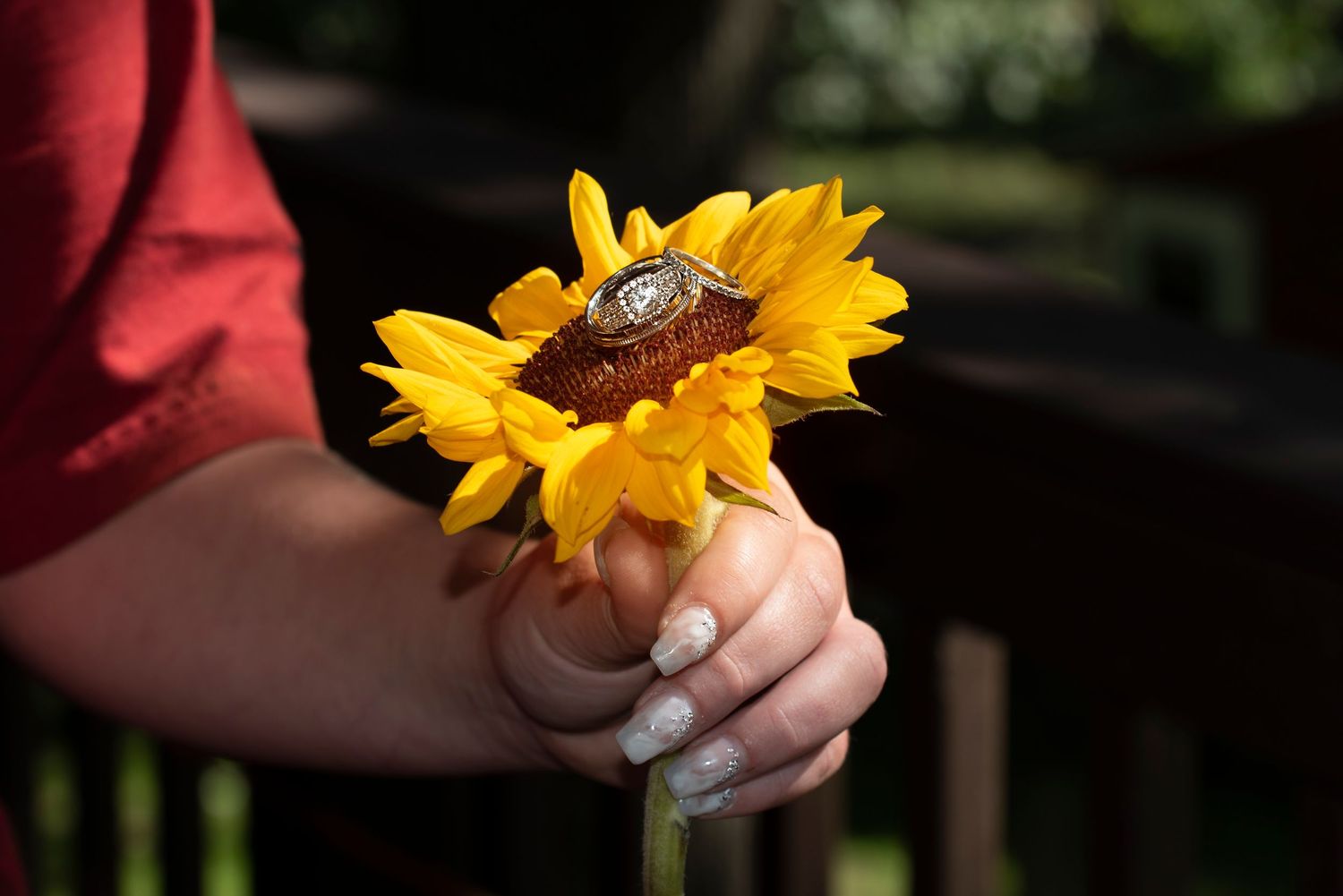 Rhode_Island_Photographer_Exeter_Rhode_Island_Photographer_Heather_Golding_Photography
