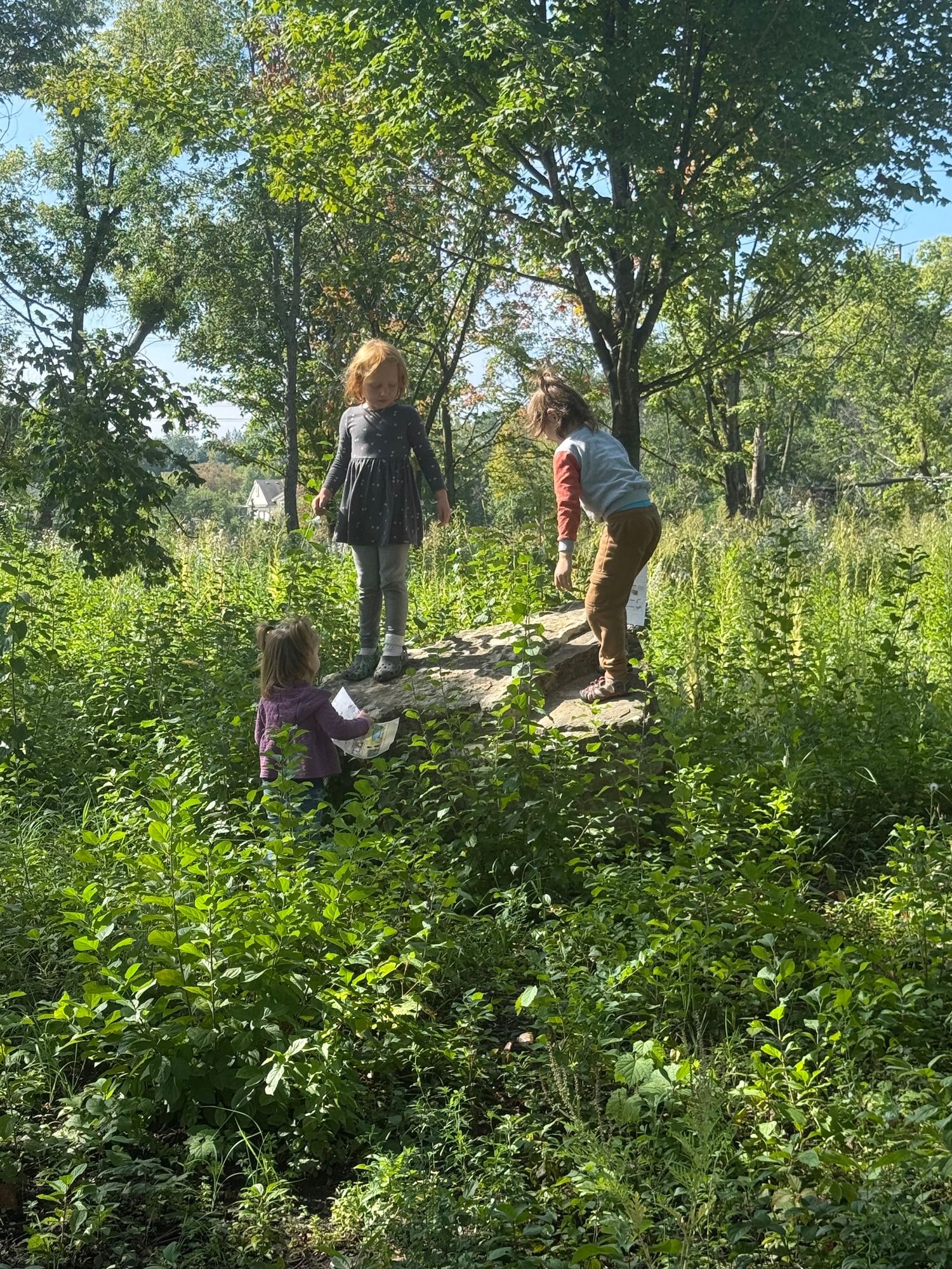 Children exploring McColl Pond, climbing boulders