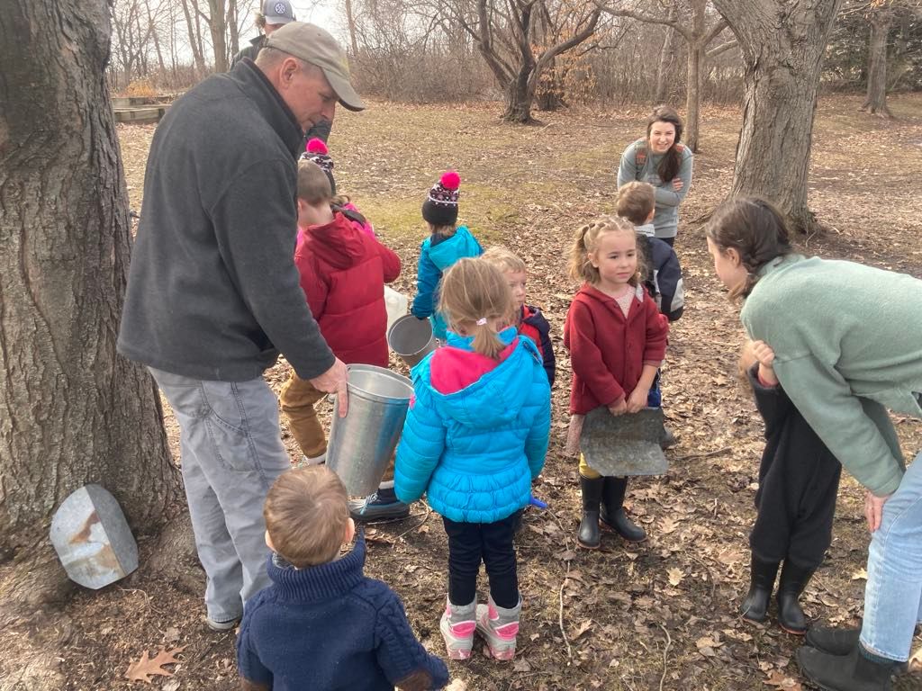 Maple Syruping at Carpenter Nature Center