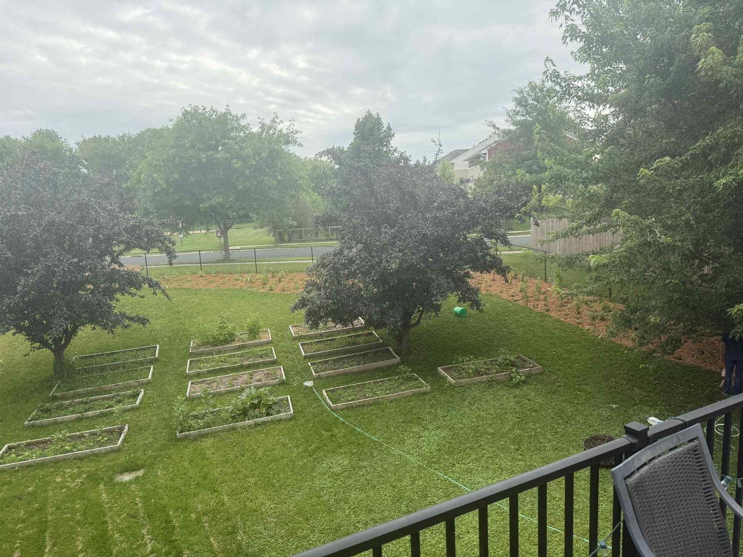 Backyard Garden