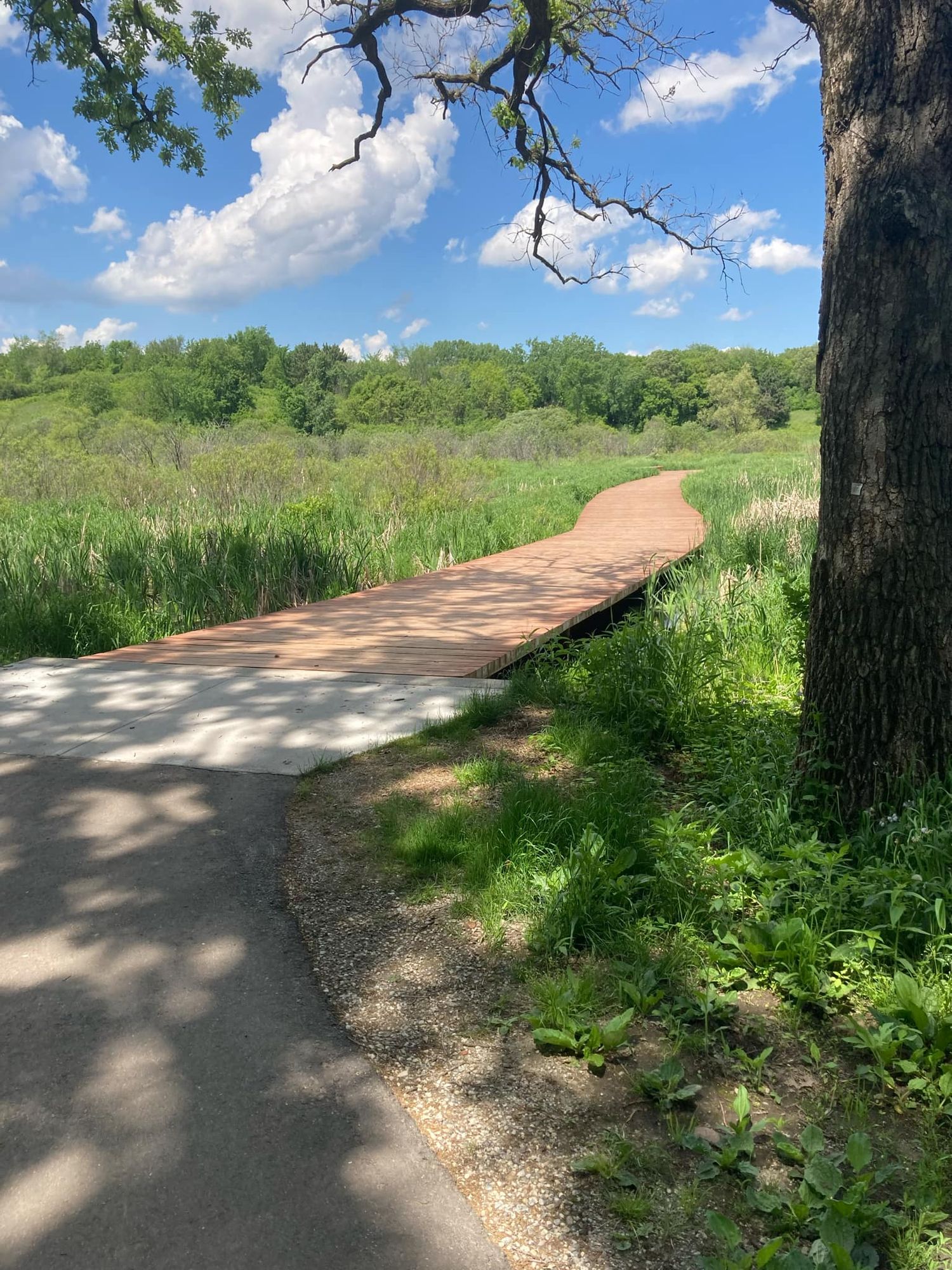 Whitetail Woods Regional Park hike