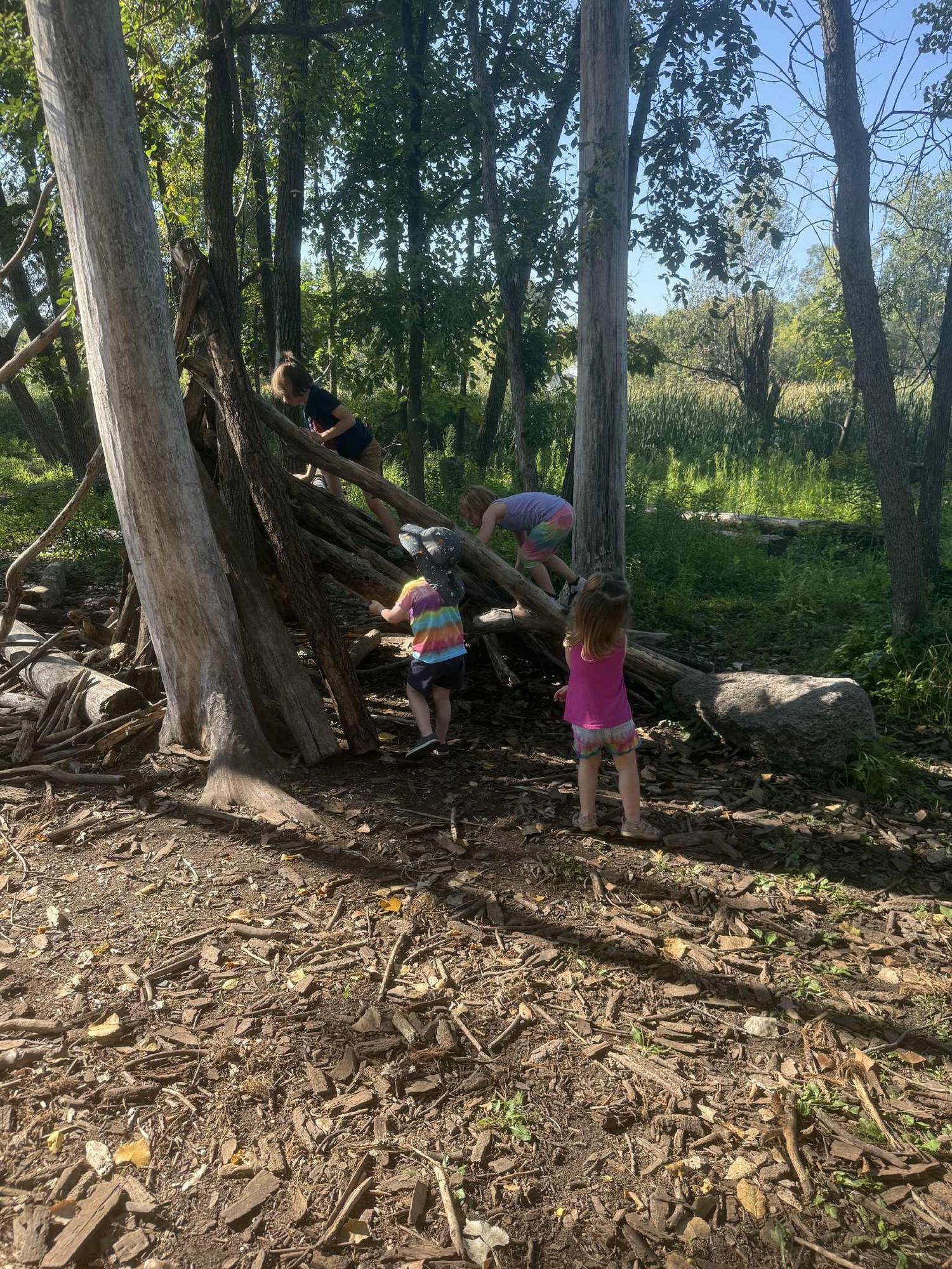 Fort Building