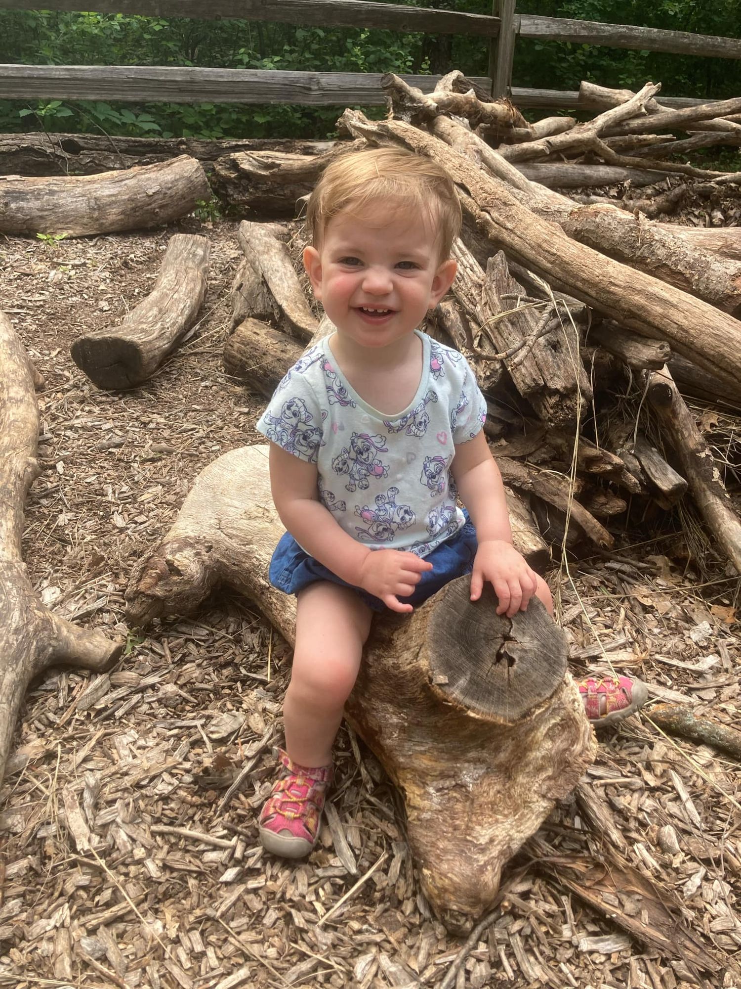 Richardshon Nature Center Nature Play Area