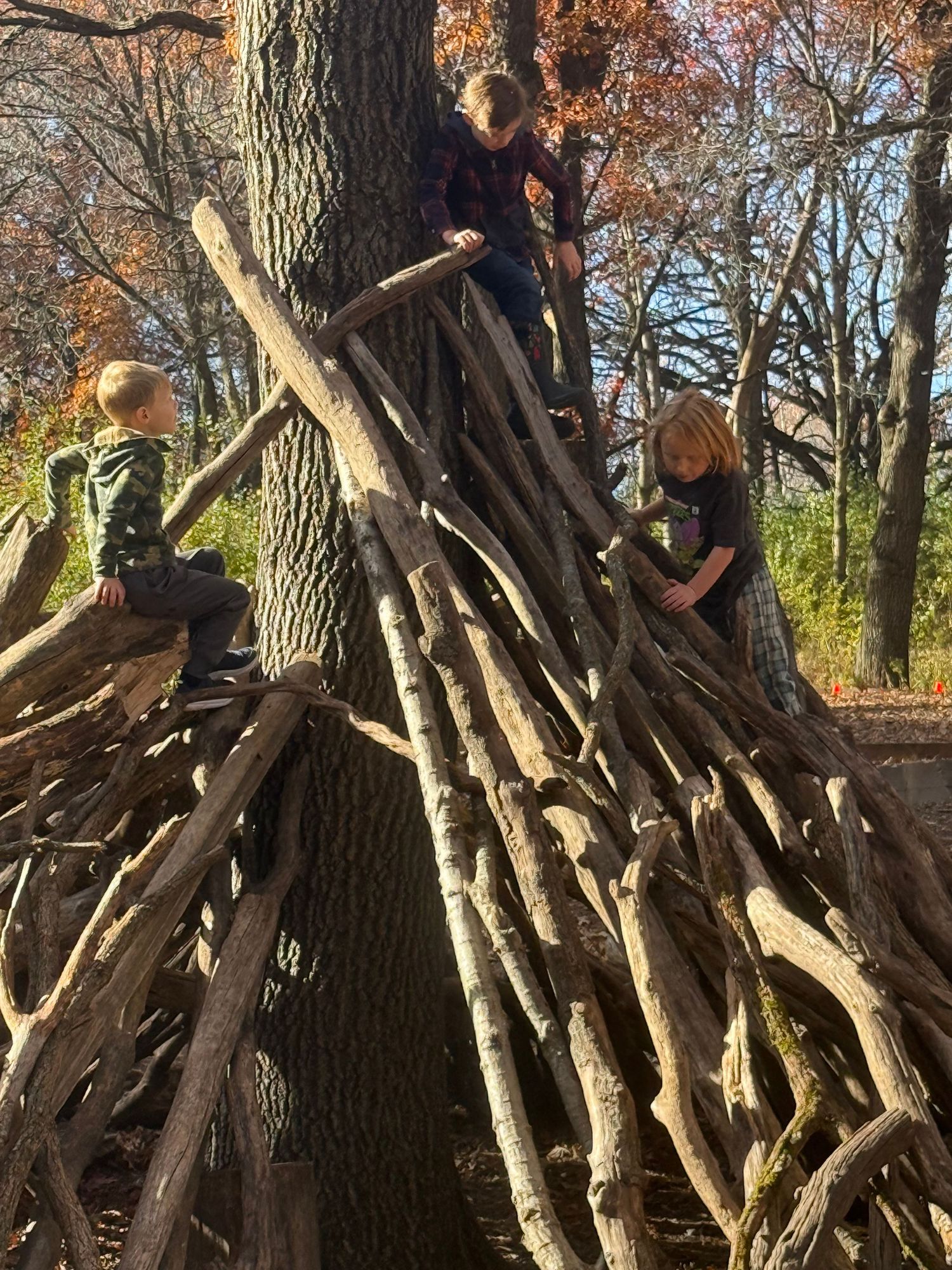 Children engaging in fort building, climbing, heavy work, and risky play