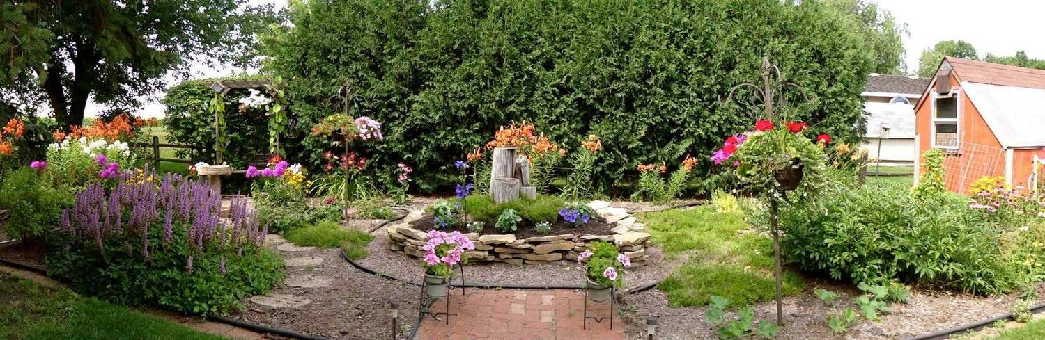 Grandma's Garden