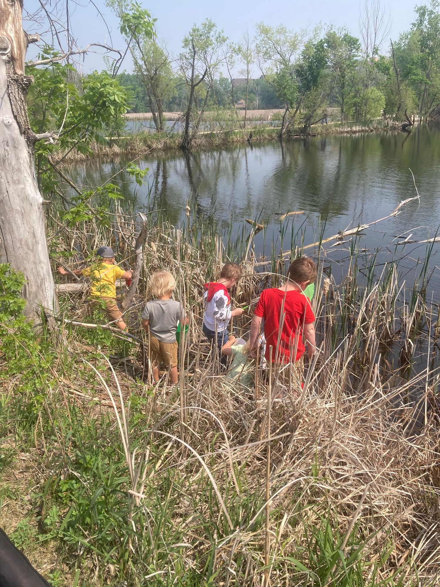 Pond exploration - getting up close to the water, plants and creatures in the pond.