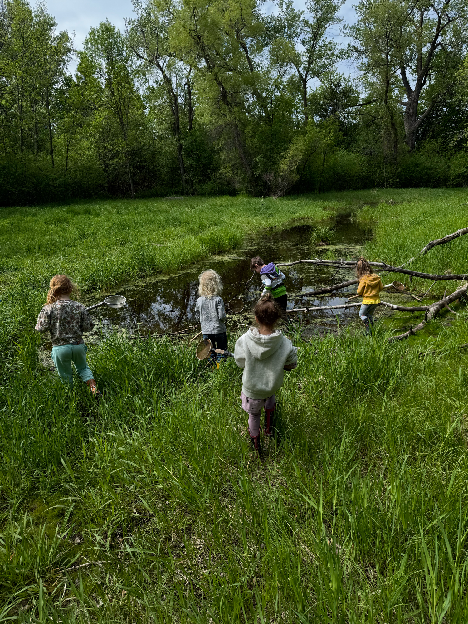 Real-world, hands-on learning about ponds, amphibians, insects, birds. Exploring a real pond.