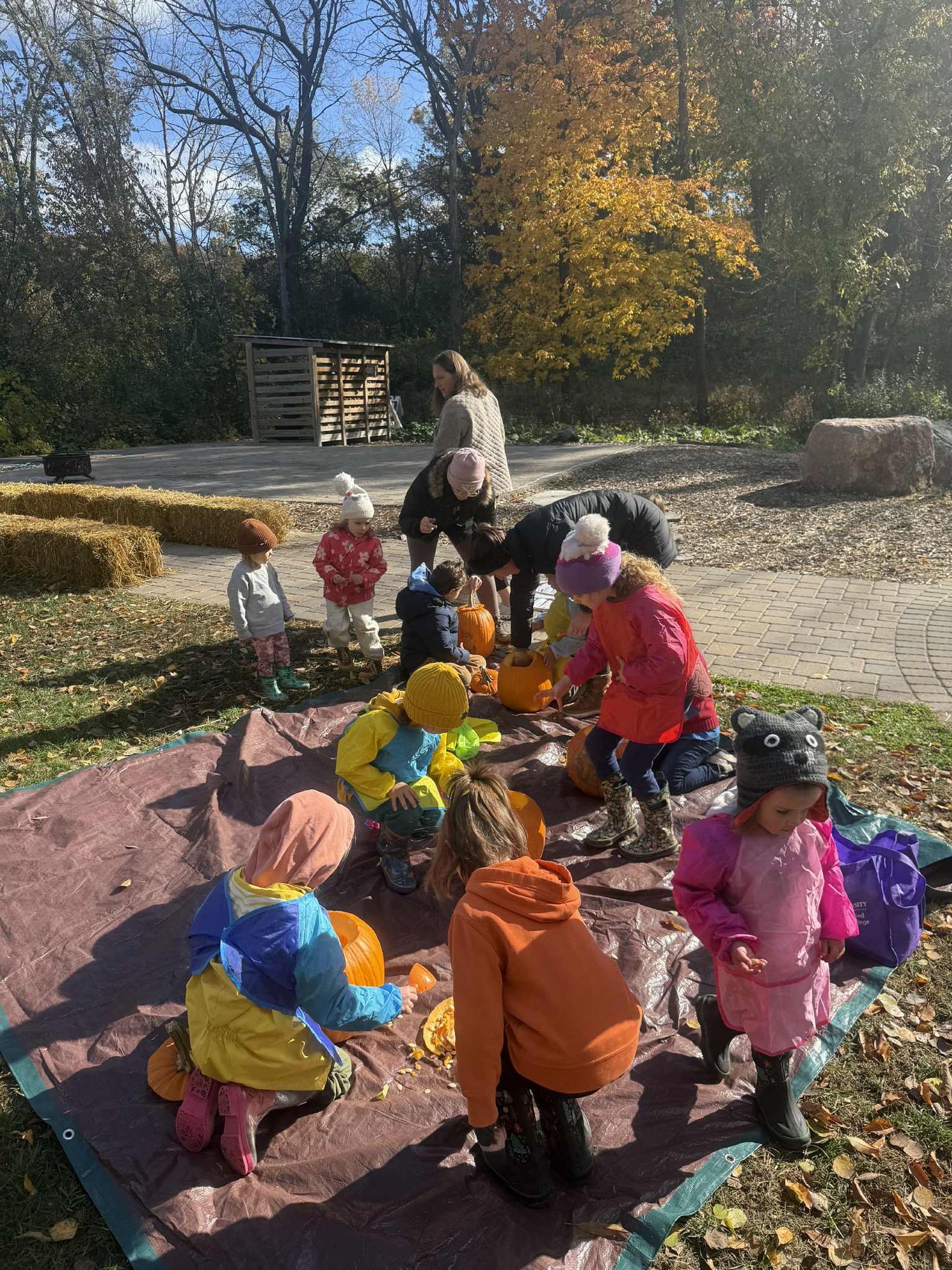 Pumpkin and Fall Exploration