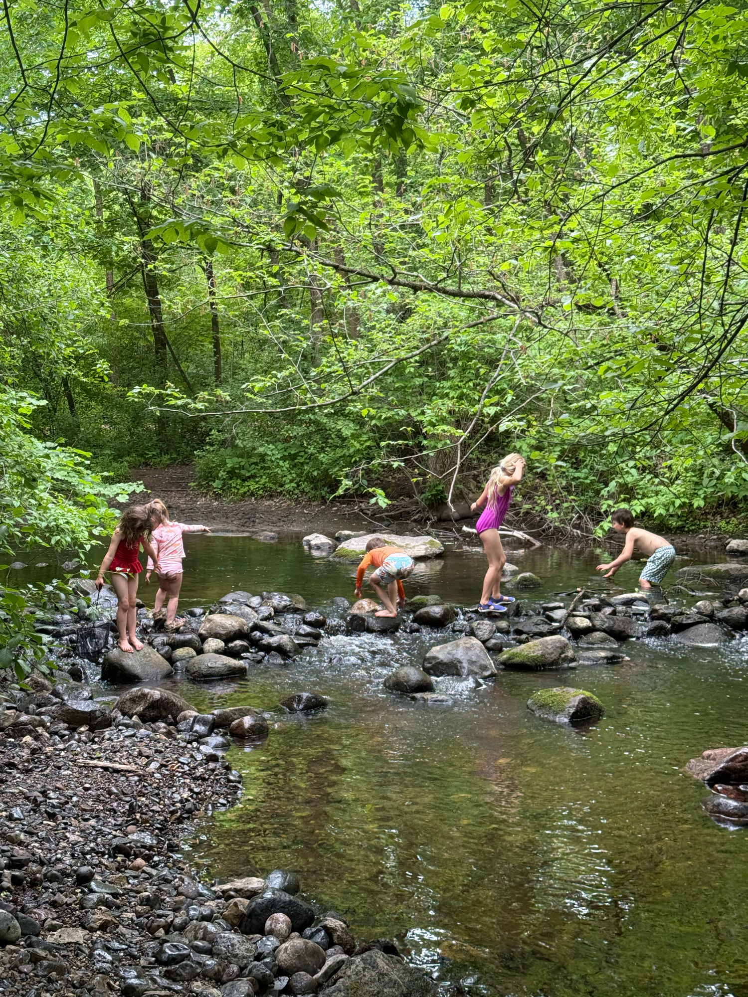 Creek play and exploration. Gross motor skills walking across rocks, finding crawfish and minnows!