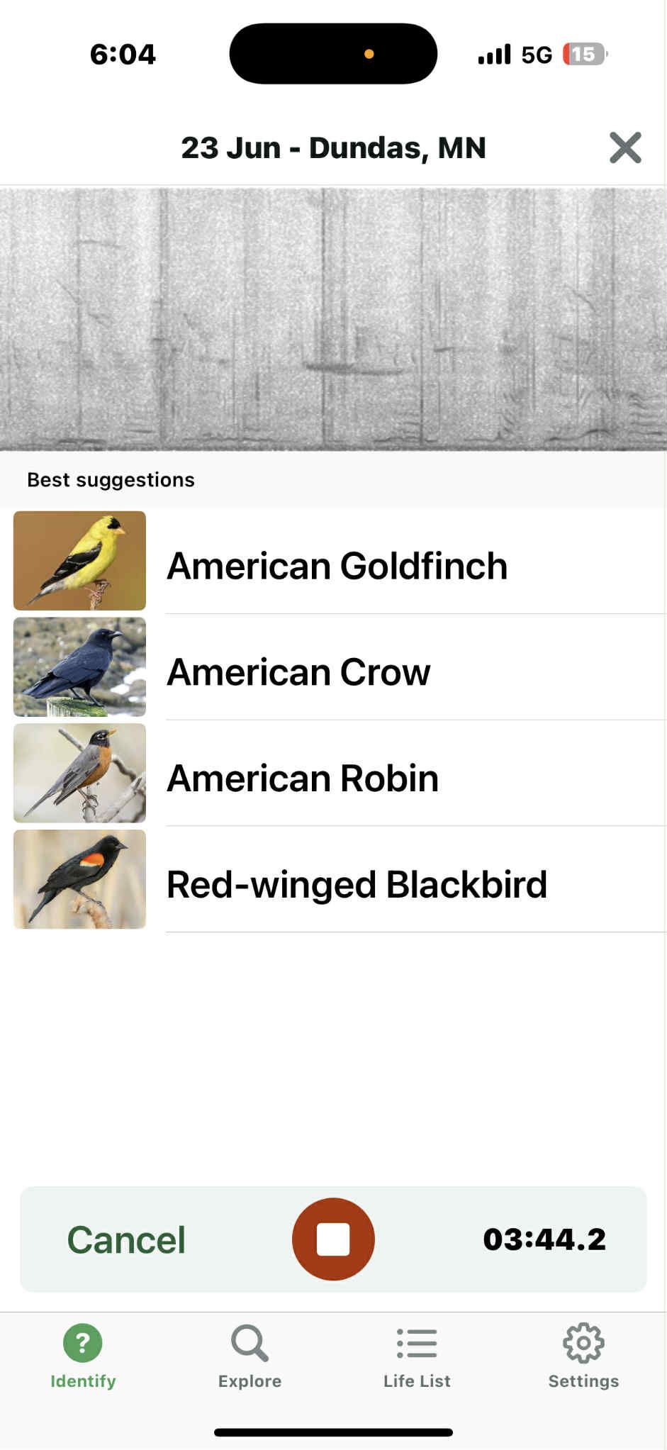 Merlin Bird ID