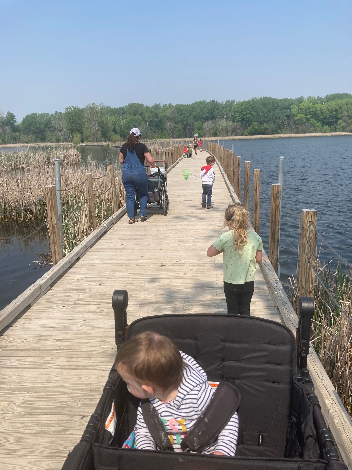 Children exploring a board walk over a pond, one carrying a net