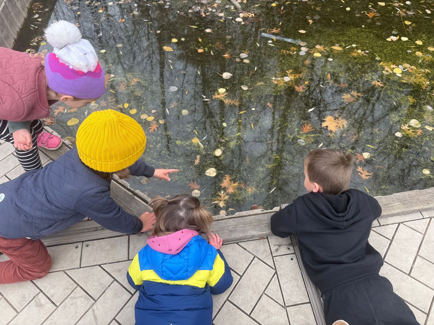 Children exploring a pond in fall