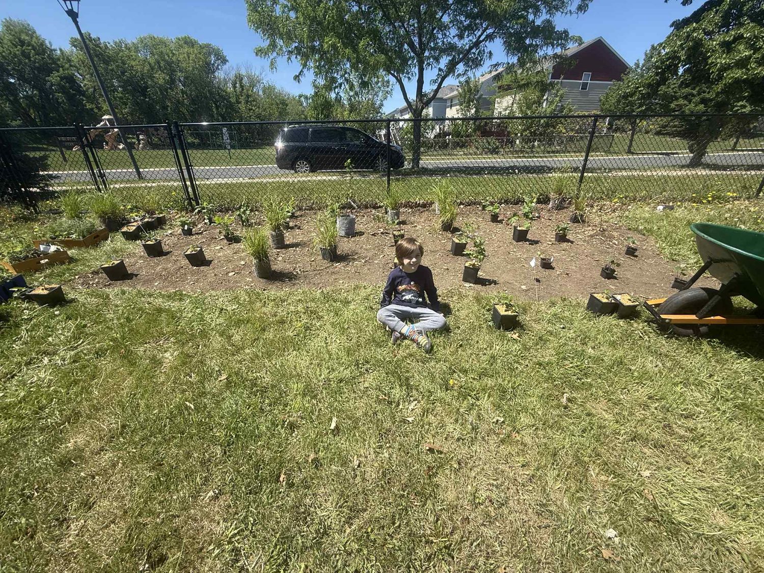 Pollinator Habitat