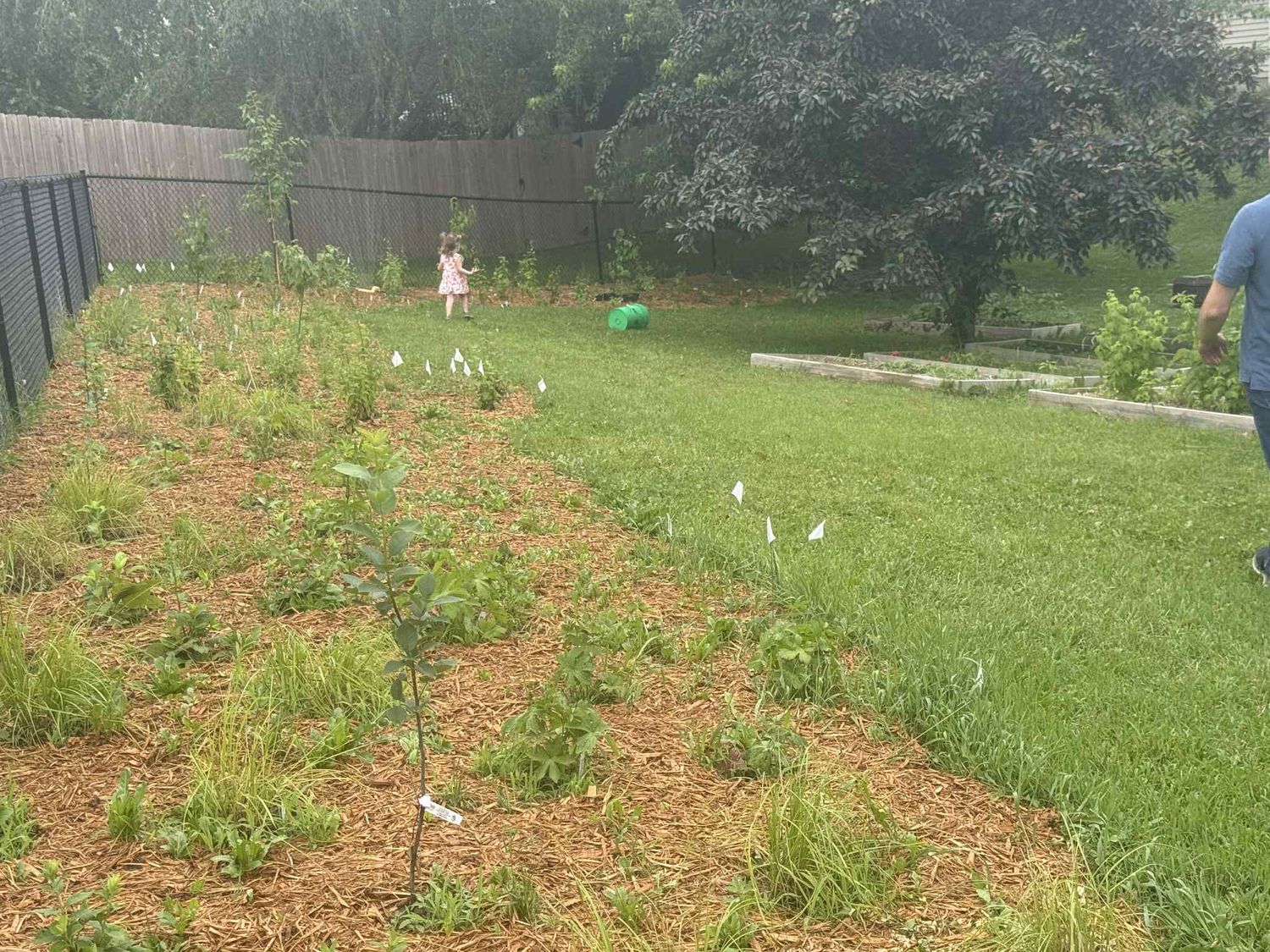 Pollinator Habitat