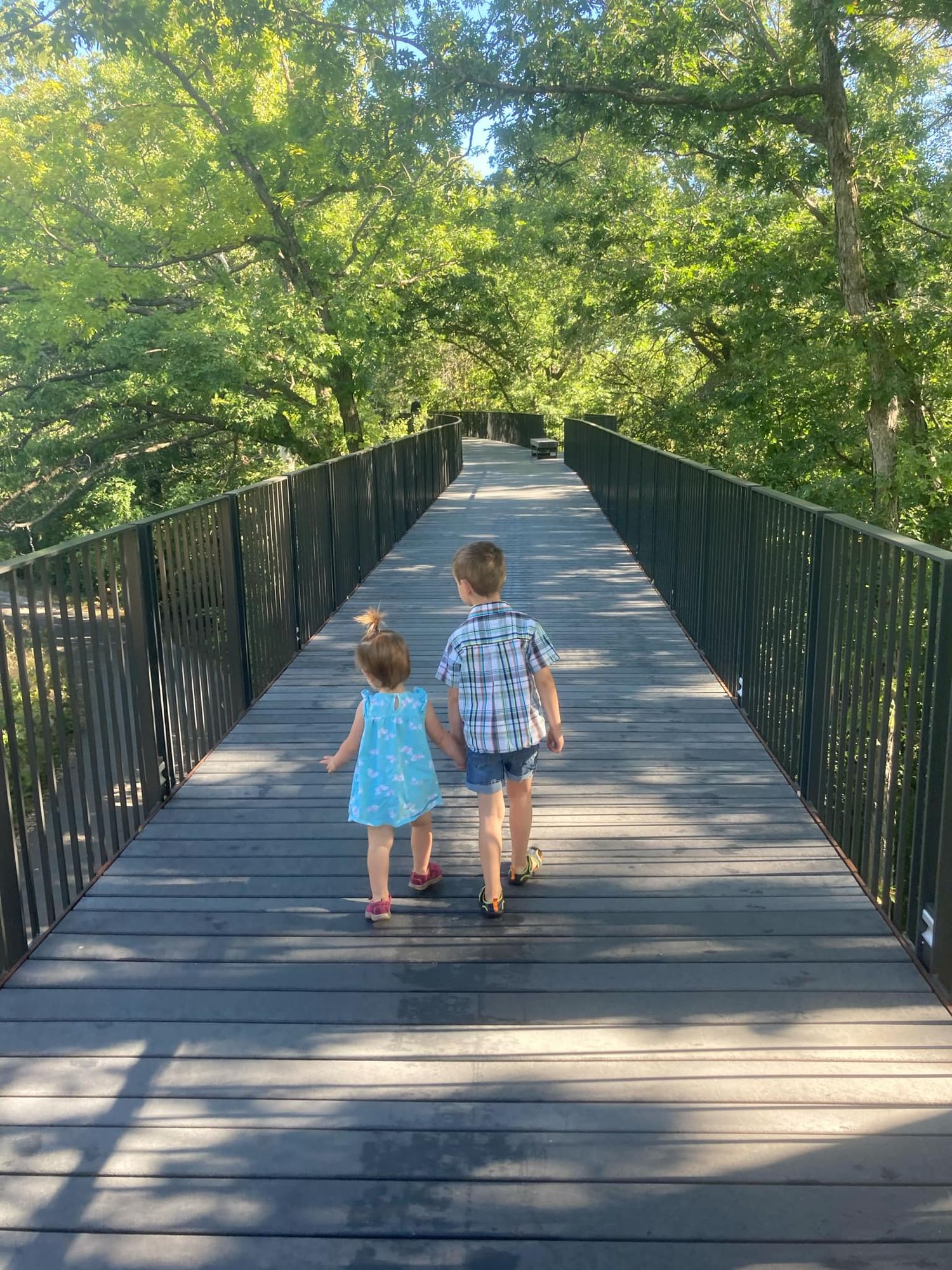 Tree top trail at MN Zoo