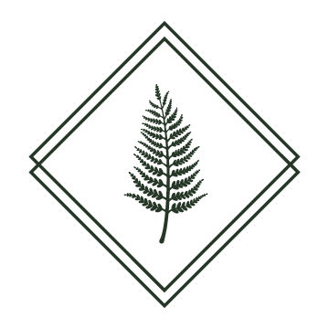 Geometric design featuring a single fern leaf within a double-lined diamond shape.