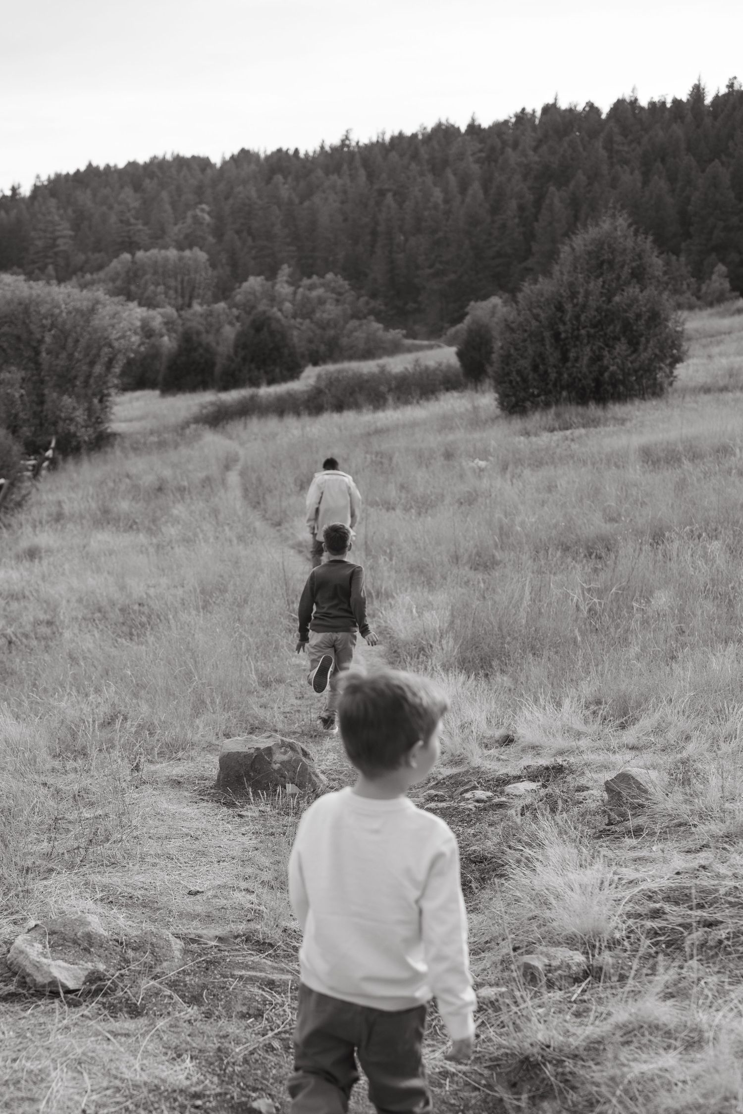 Black and white photo of people walking through tall grassy field with forest backdrop.