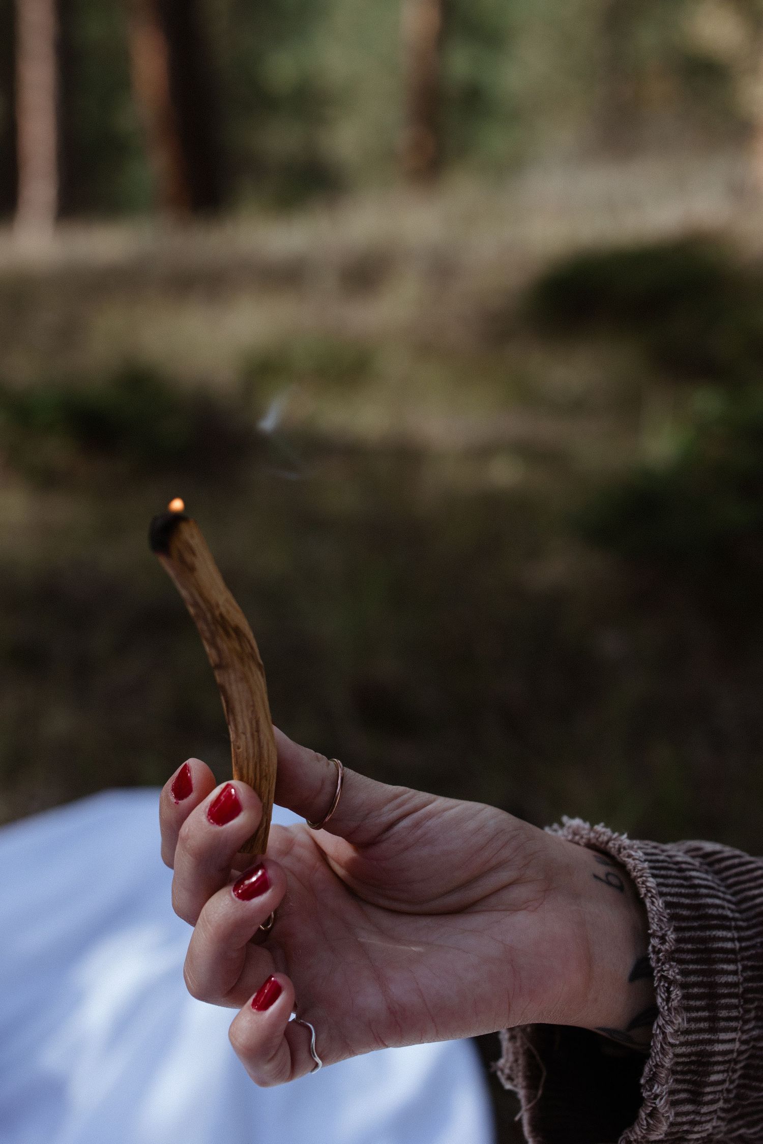 Close-up of hands with red nail polish holding a small twig against a blurred nature background.