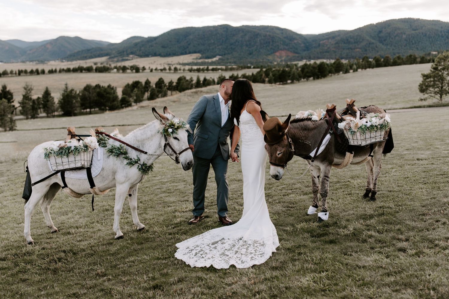 A newlywed couple poses with decorated donkeys in a mountain meadow.