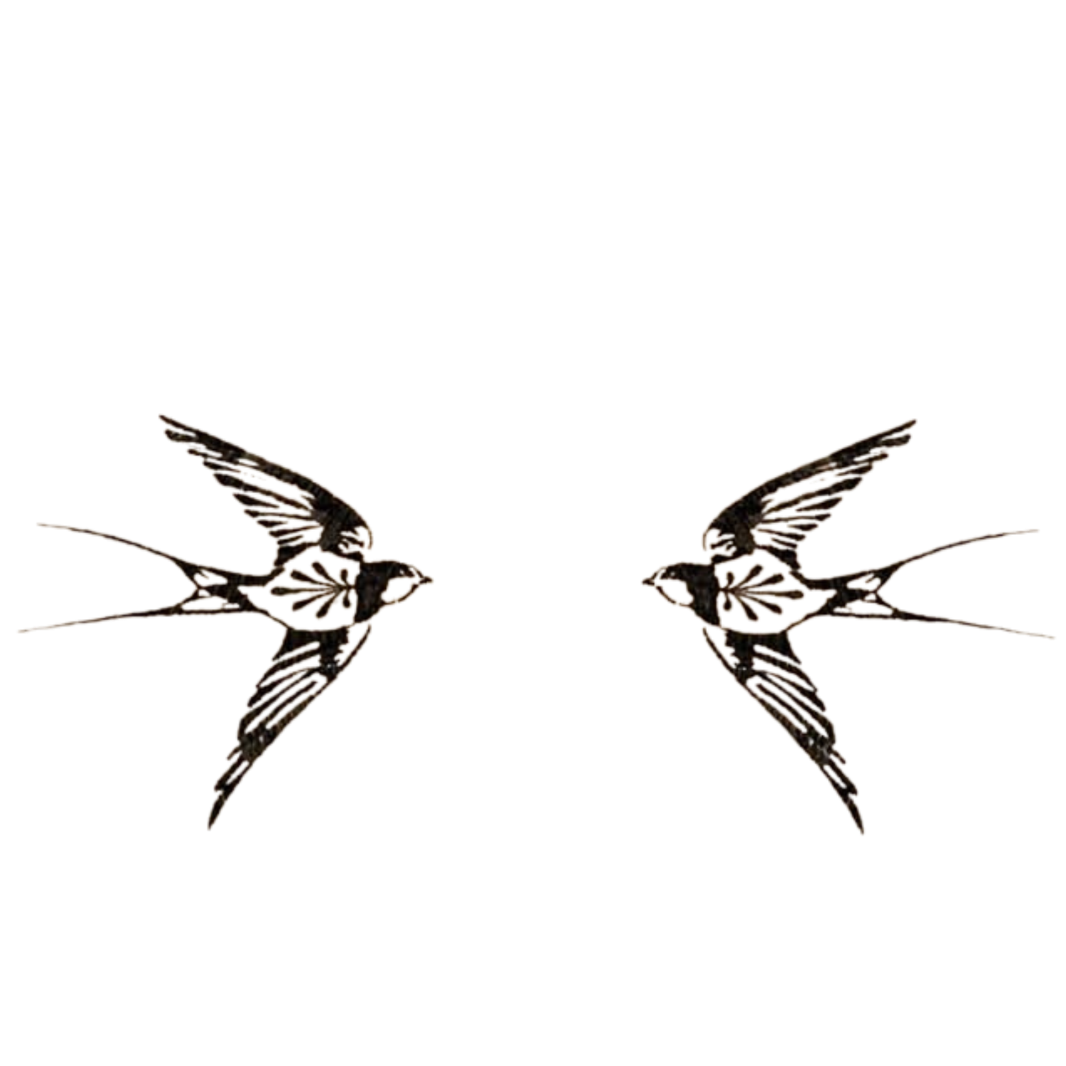Two black ink swallow tattoo designs facing each other with detailed feathers and outstretched wings on white background.
