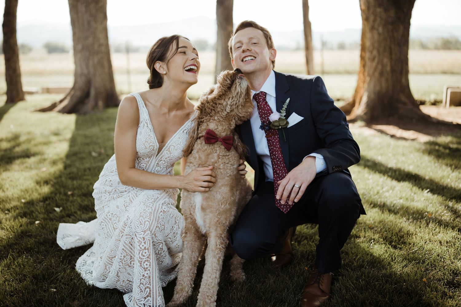A couple in wedding attire shares a joyful moment with their brown curly-haired dog on a sunny day between trees.