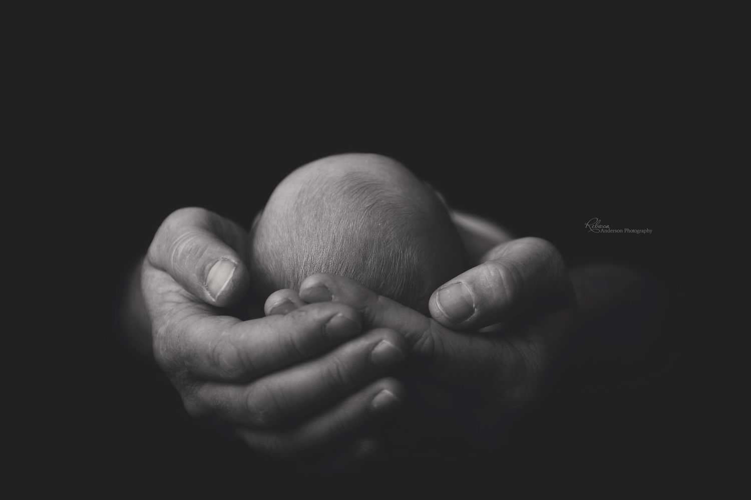 Minimalist black and white image of tiny newborn held in cupped hands.
