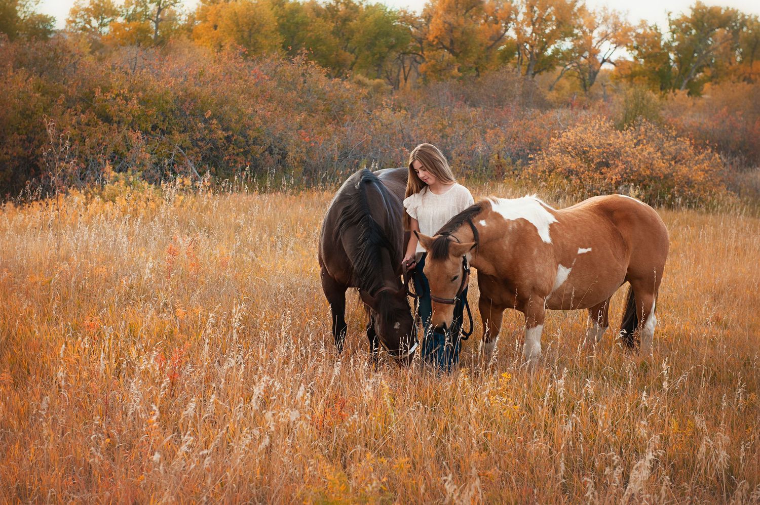 Three horses and person standing together in golden autumn field.