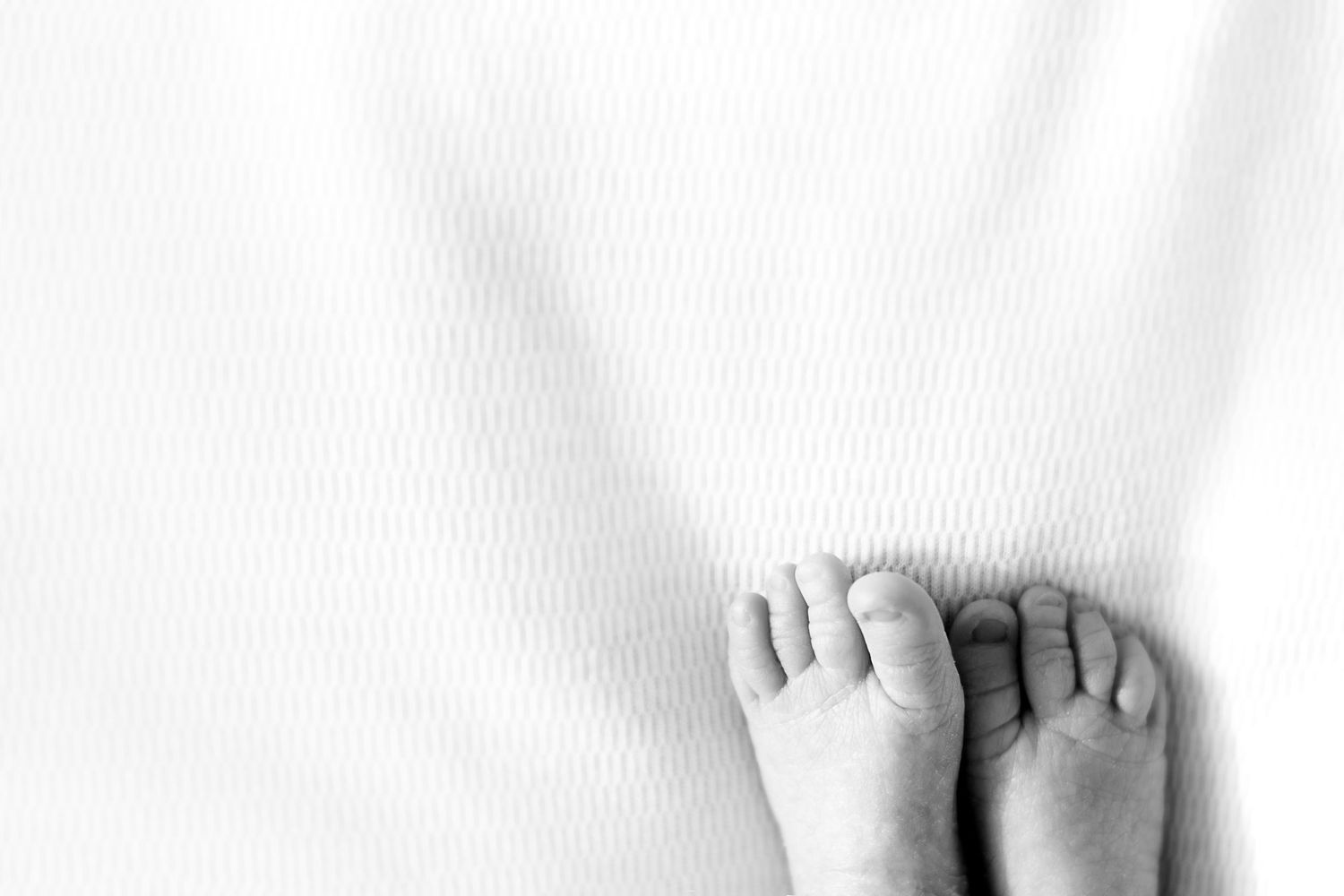 Close-up black and white image of tiny baby feet against white background.