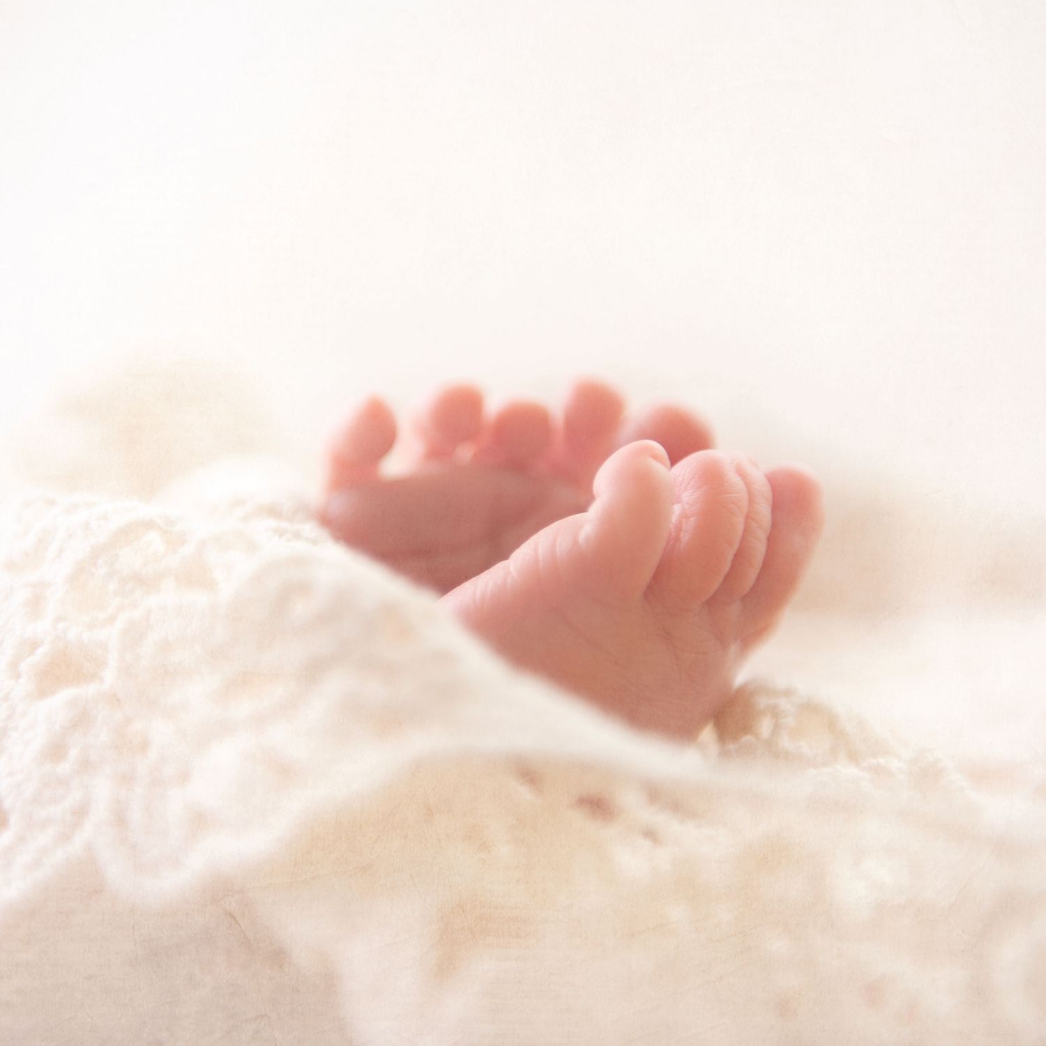 Close-up of small baby feet wrapped in delicate cream lace.