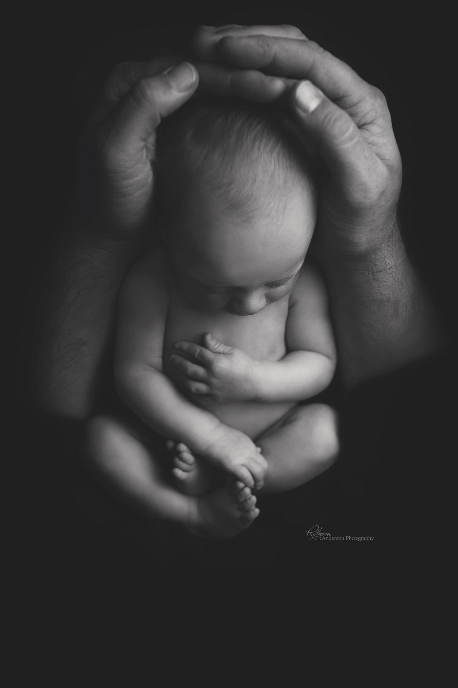 Artistic black and white portrait of newborn nestled beneath protective hands.