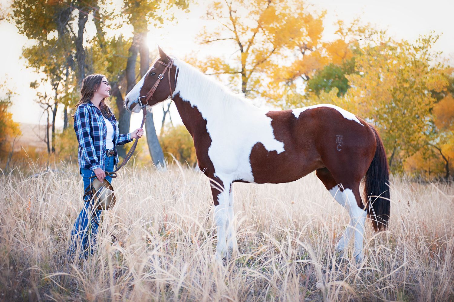 Person in plaid shirt stands with paint horse in autumn field with golden light.