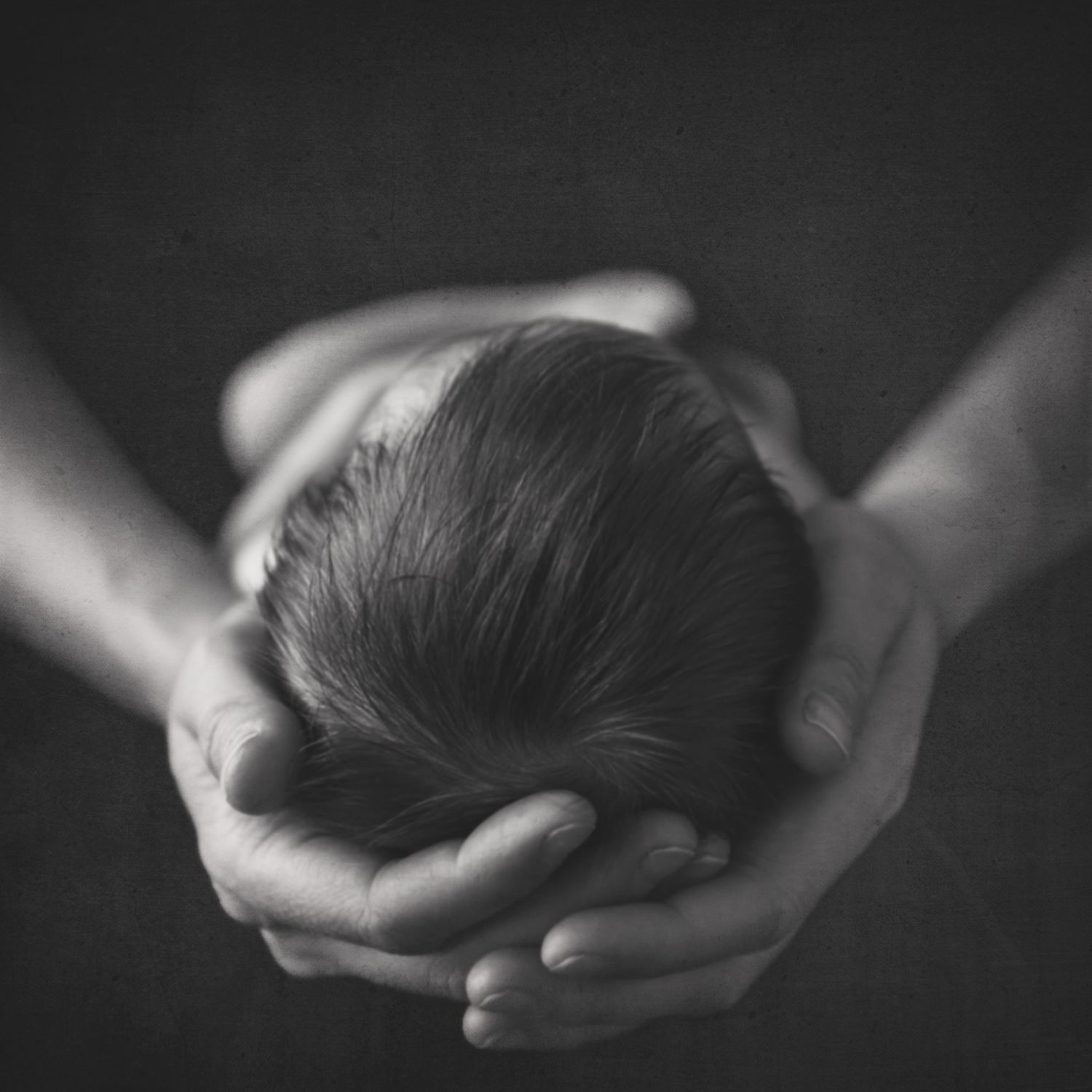Intimate black and white portrait of newborn gently held in caring hands.