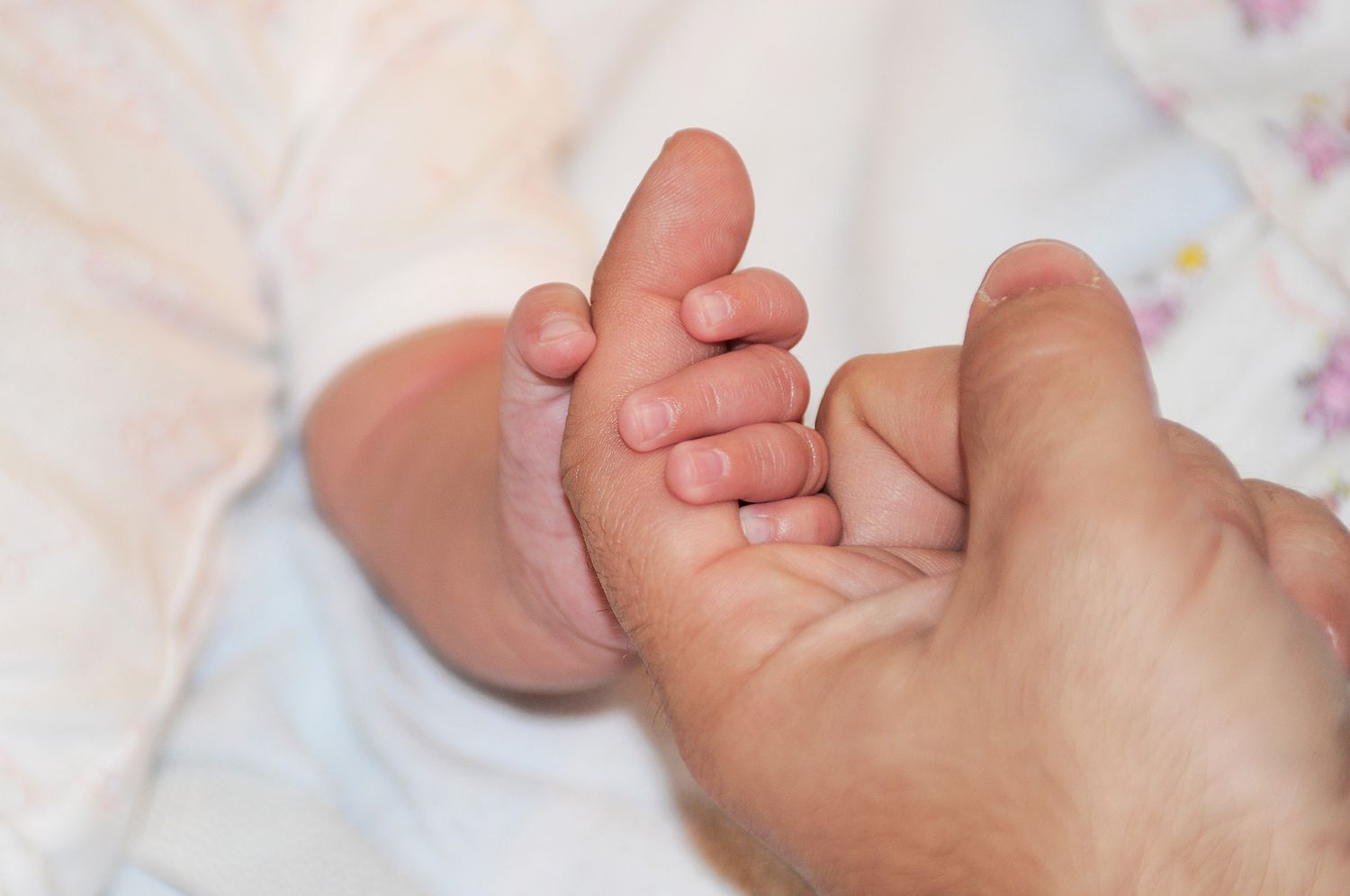 Newborn portrait