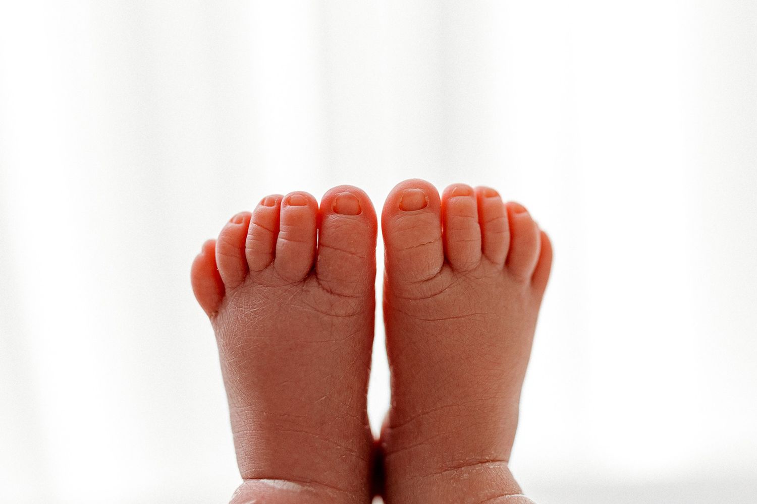 Close-up view of tiny newborn baby feet against a white background.