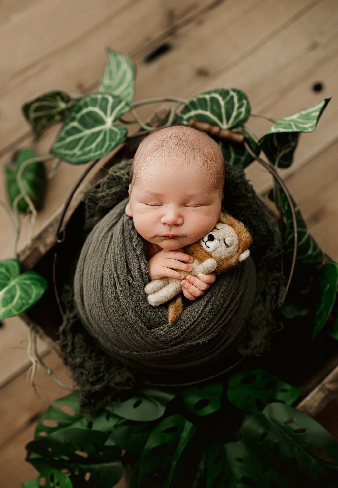 A series of newborn photography shots showing a sleeping baby wrapped in gray fabric among green ivy leaves.