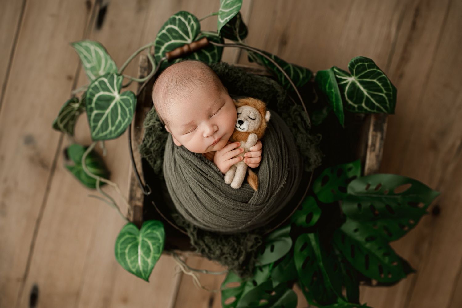 A newborn baby lies on a soft blanket surrounded by green philodendron leaves and natural decor.