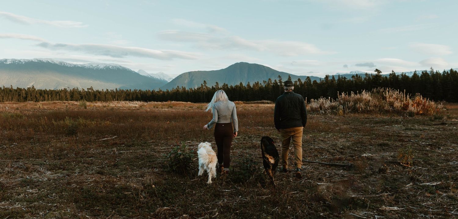 A figure walks two dogs through a golden field at sunset with mountains in the distance.