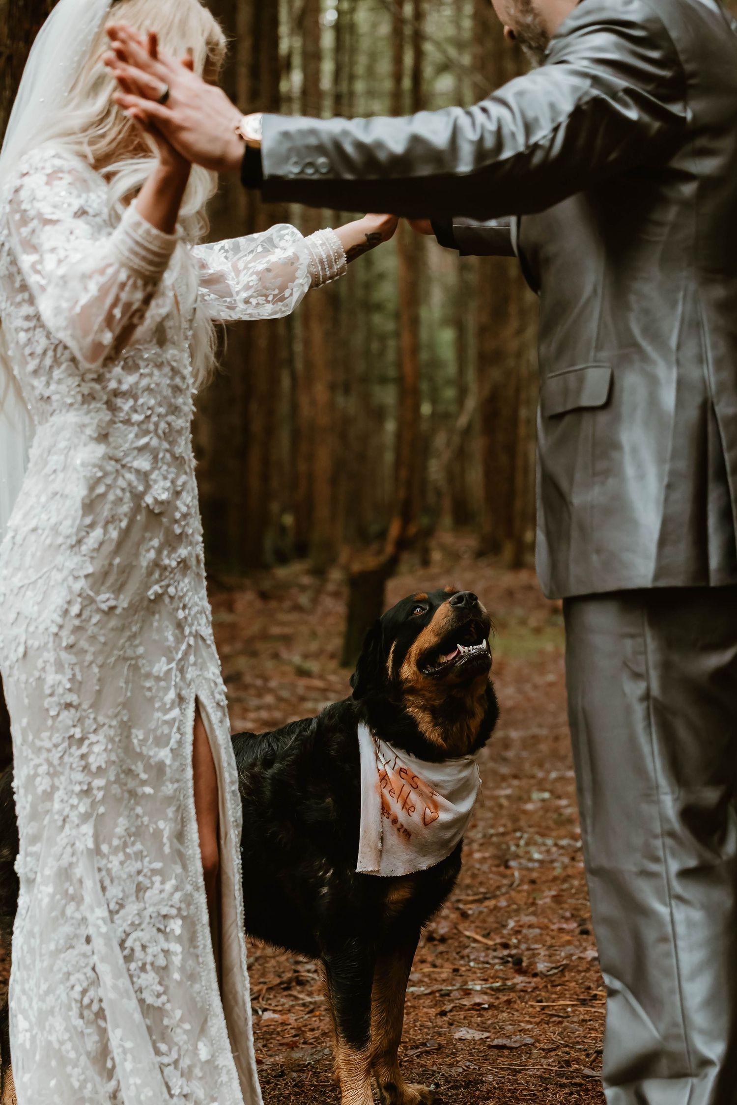 A couple in wedding attire dance together on fallen leaves in a forest while their dog watches nearby.