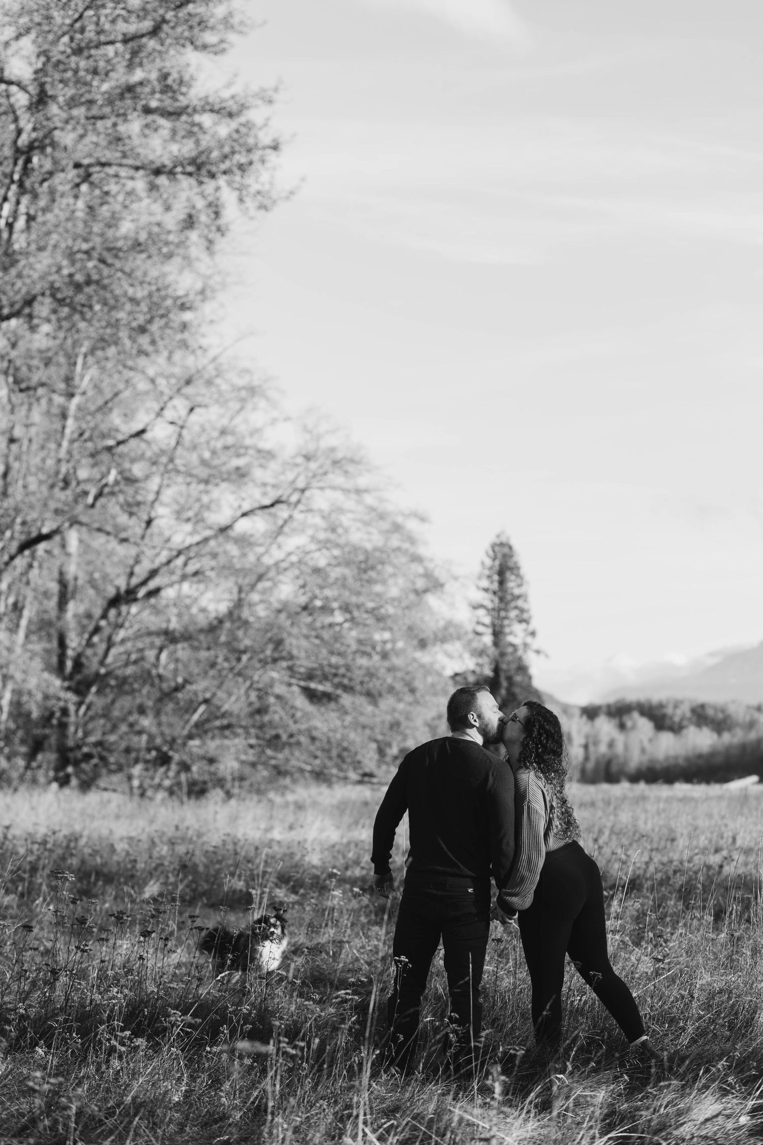 A silhouetted couple shares a tender moment in a misty field with tall trees in the background.
