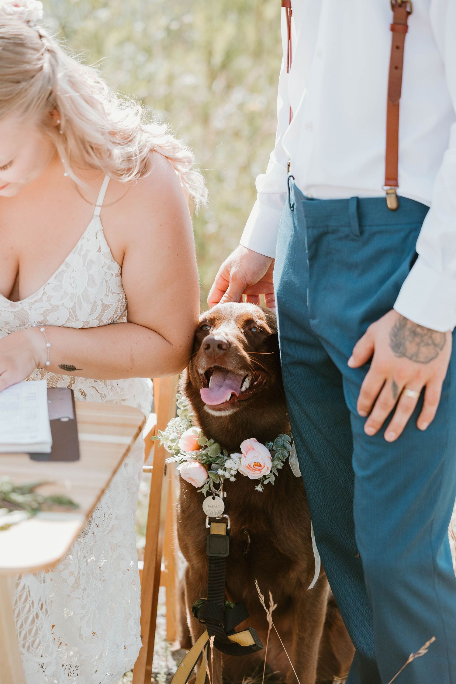 A happy dog with a floral collar joins the couple during document signing at their mountain wedding.