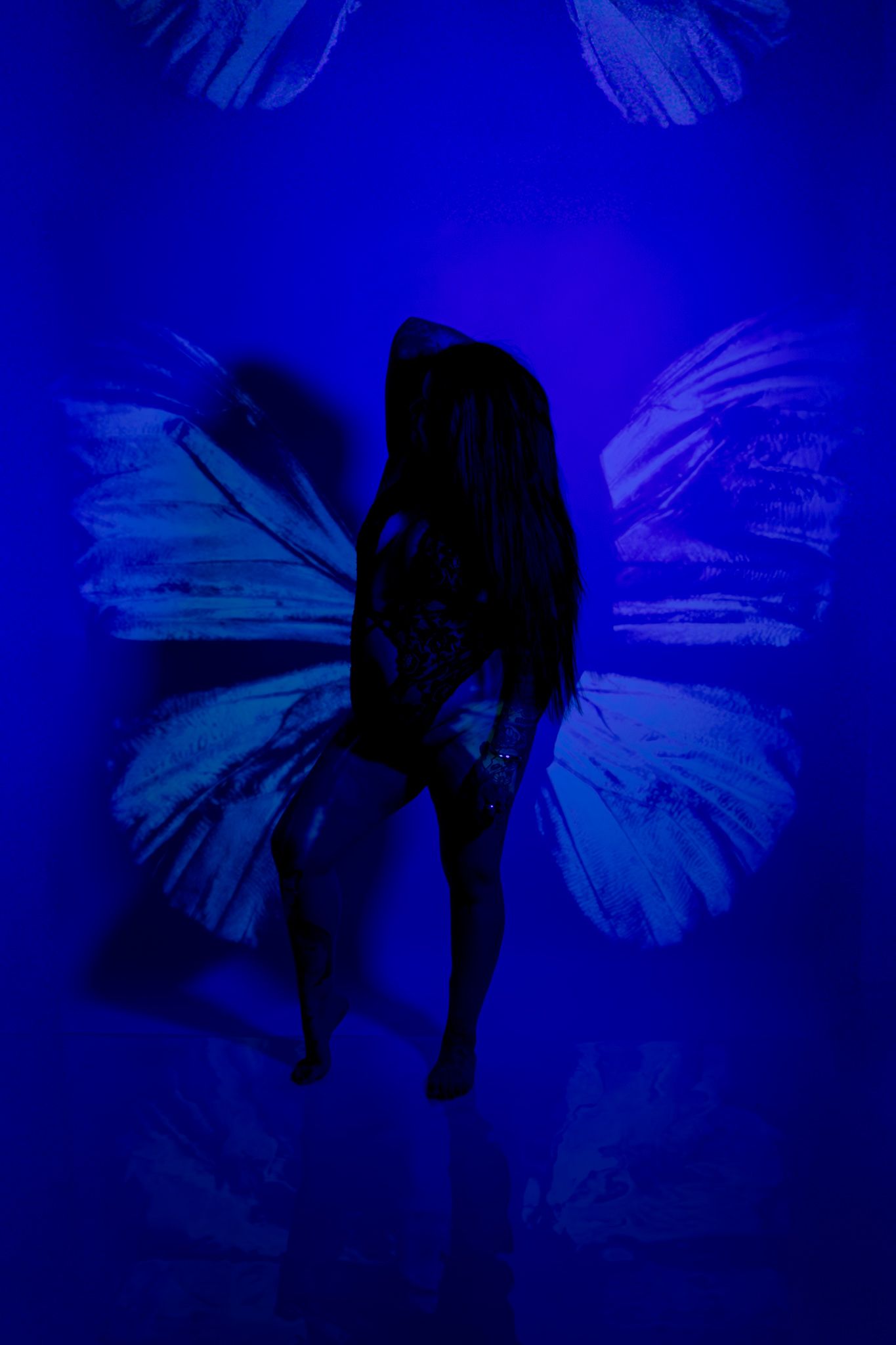 A series of dark blue artistic photographs showing silhouettes of butterflies against a deep indigo background.