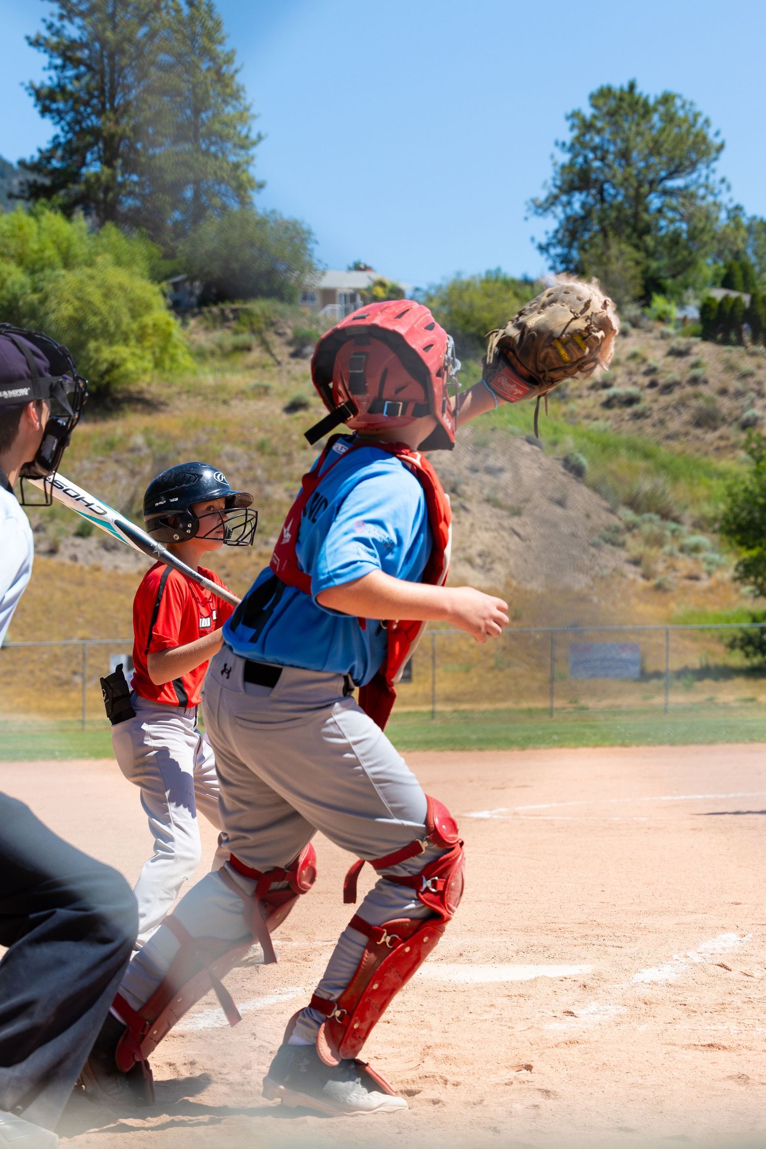 Youth baseball catcher in red and blue gear anticipates catching a pop-up ball during a game on a sunny day.